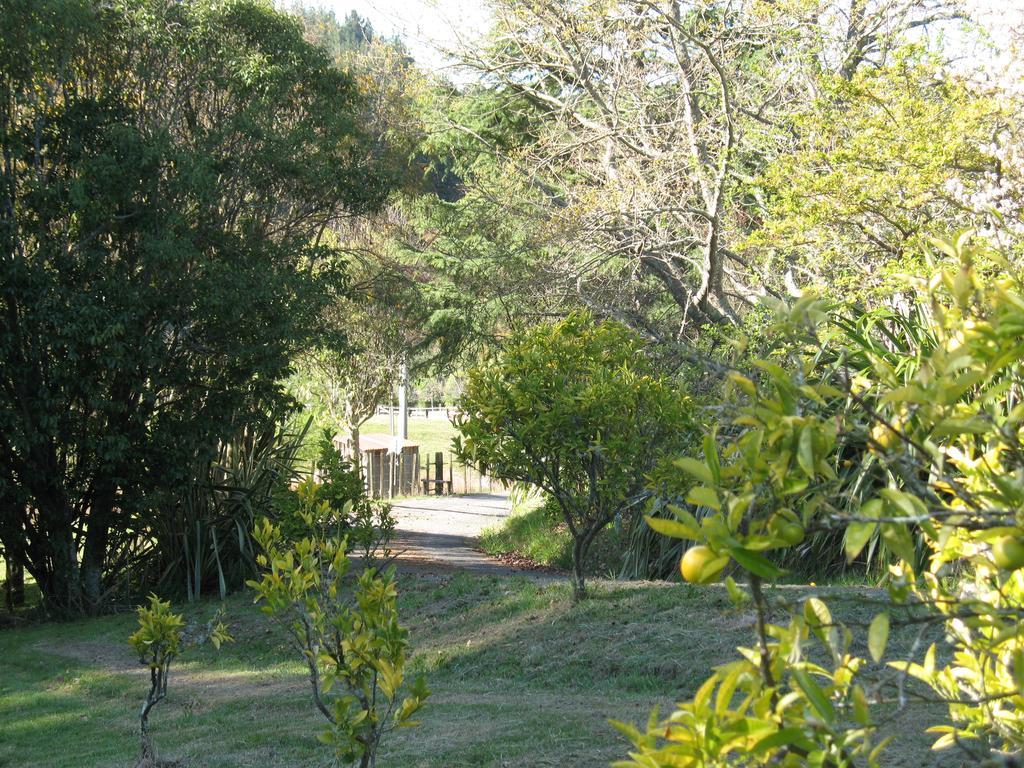 Villa Copper Gate Mapua Exterior foto